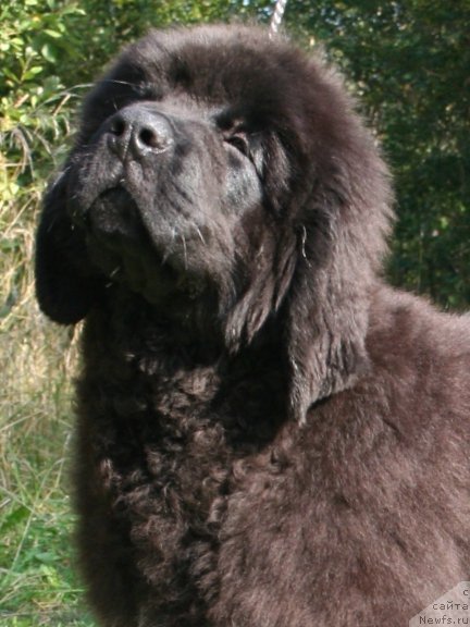 Фотография № 162887