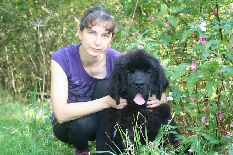 Фотография № 162888