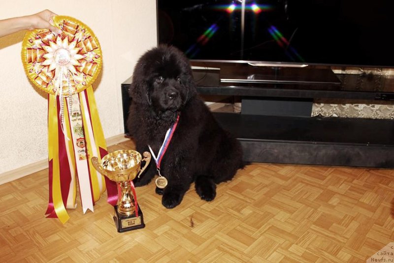 Фотография № 162915