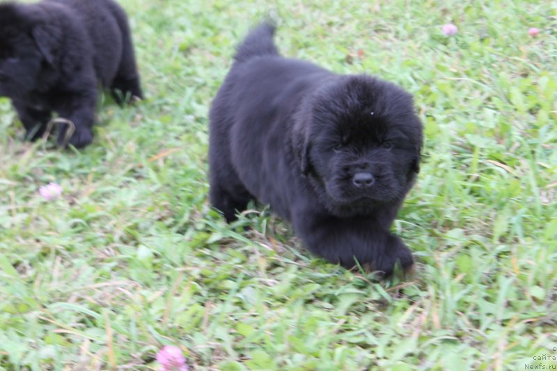 Фото: мальчик без ленты 30 дней