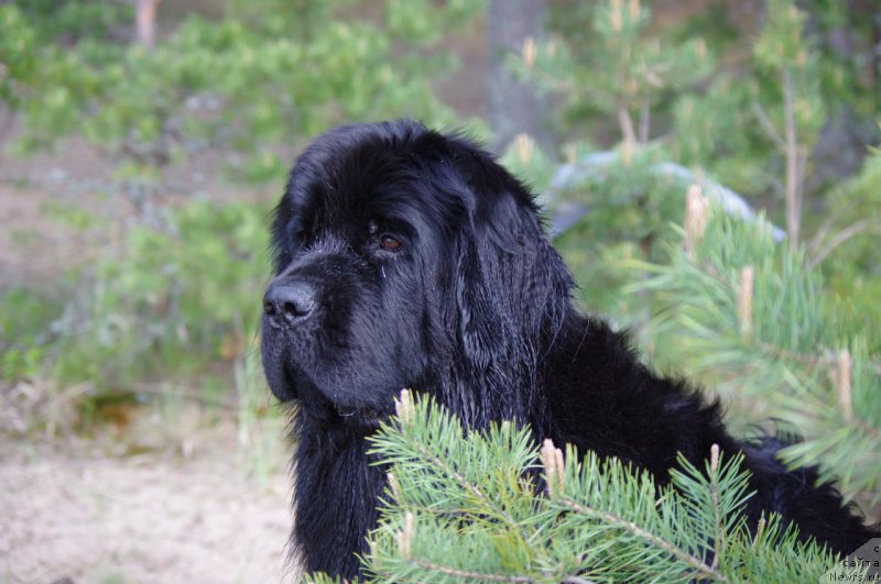 Фотография № 162939