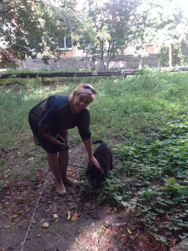 Фотография № 162977