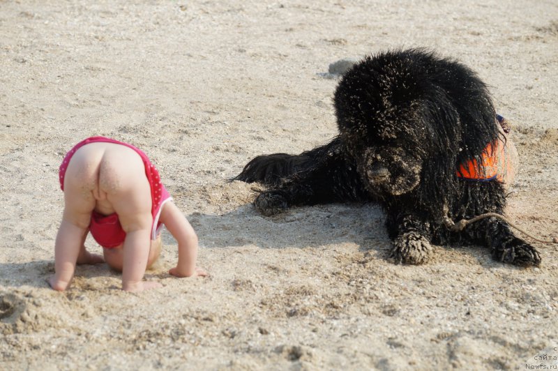 Фотография № 162986