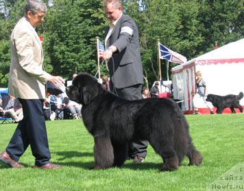 Фотография № 16300