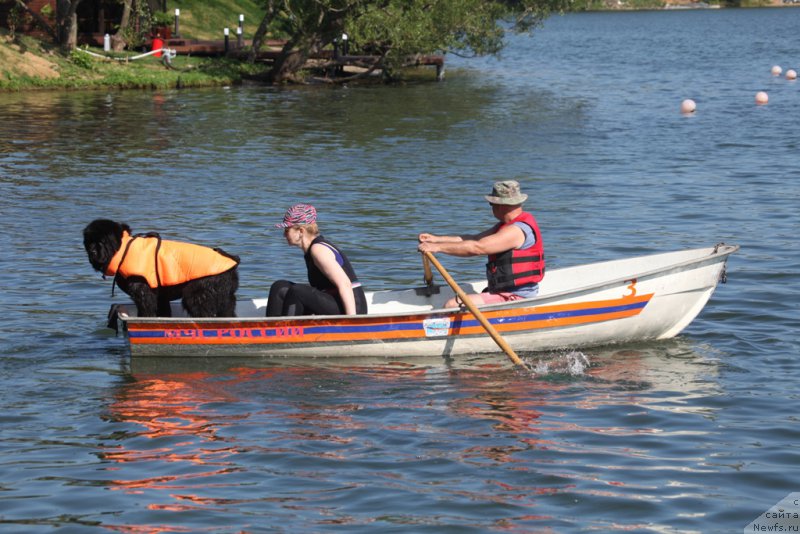 Фото: ньюфаундленд Black Blues iz Volotova, Ol'ga Muzyichuk (Ольга Музычук), Aleksandr Burmistrov (Александр Бурмистров)