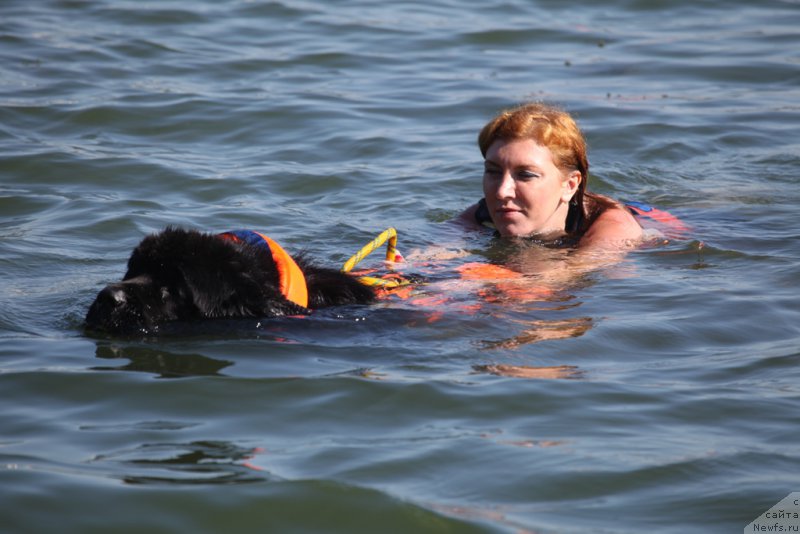 Фотография № 163027