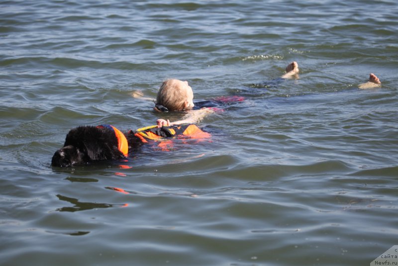 Фотография № 163029