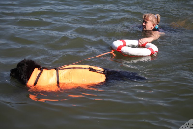 Фотография № 163031