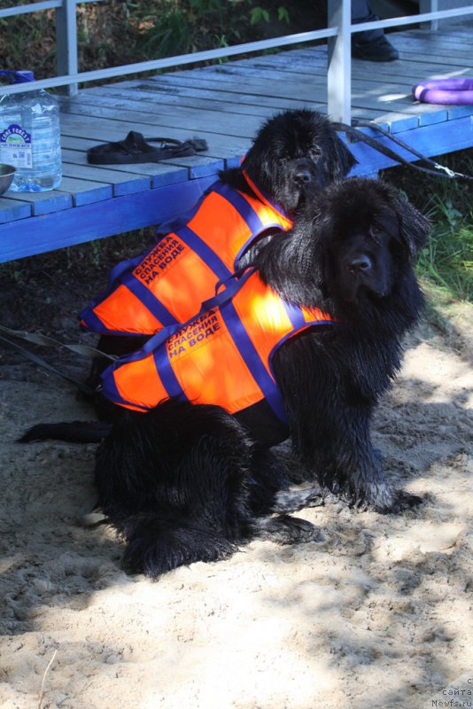 Фотография № 163032