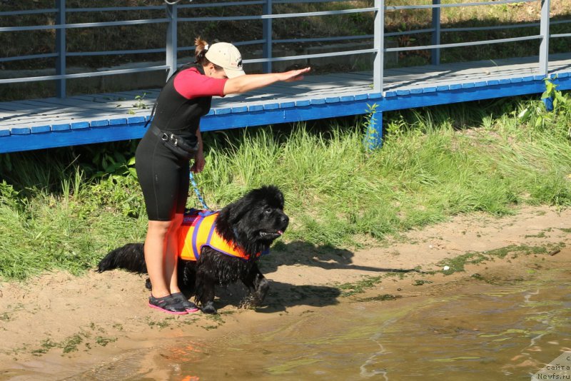 Фотография № 163039