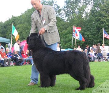 Фотография № 16304