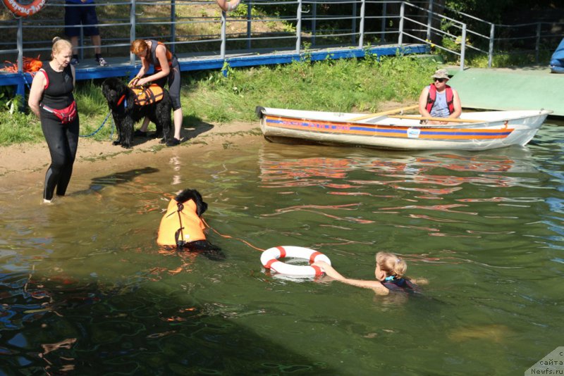 Фотография № 163041