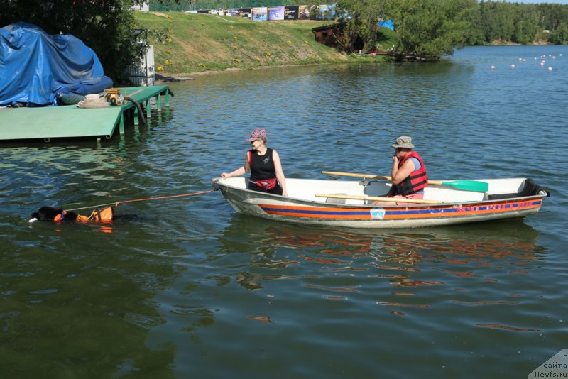 Фотография № 163042