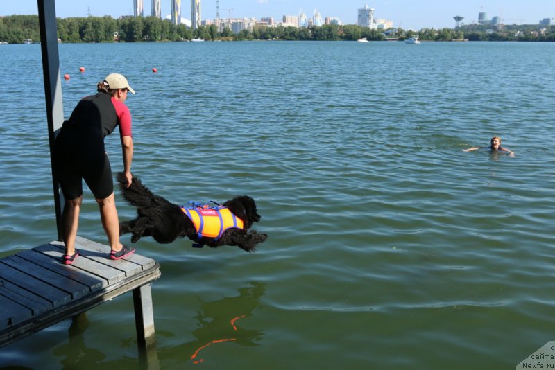 Фотография № 163043