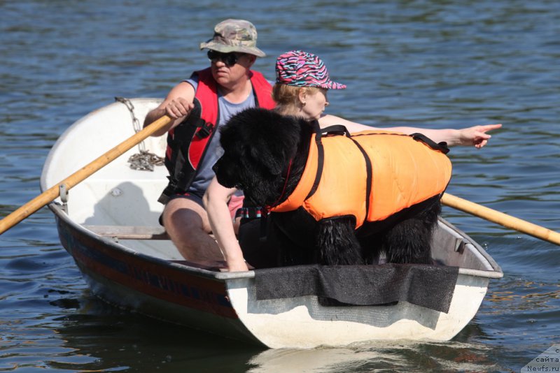 Фотография № 163046