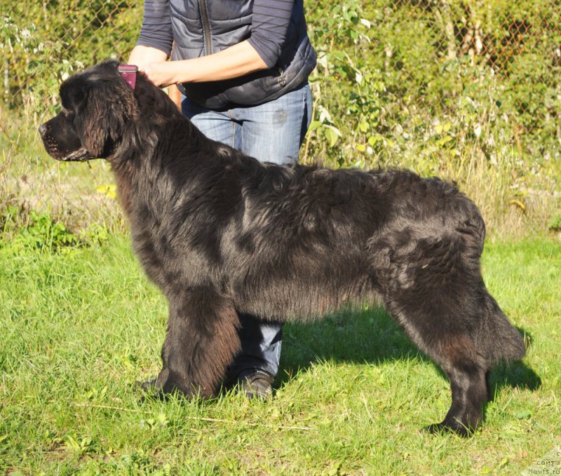 Фотография № 163069