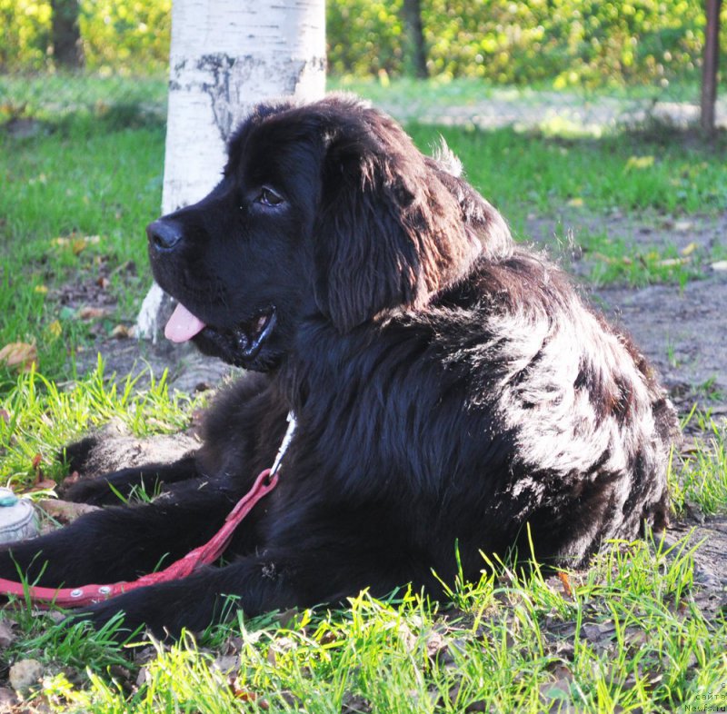 Фотография № 163070