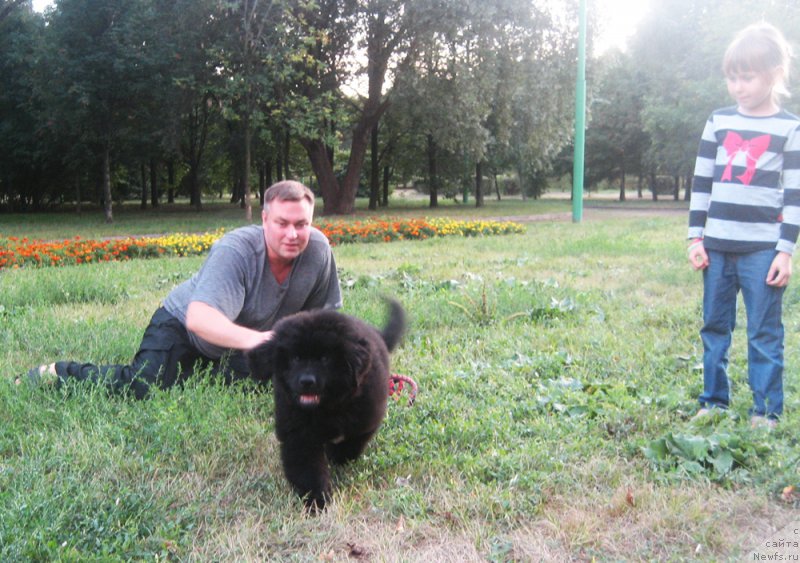 Фотография № 163096