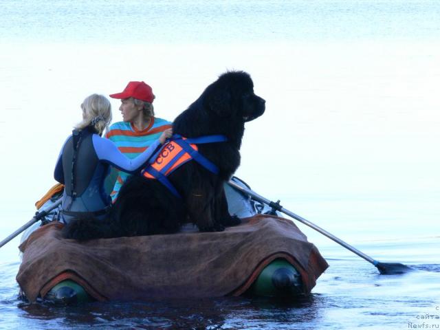 Фотография № 16318