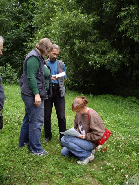 Фотография № 16323