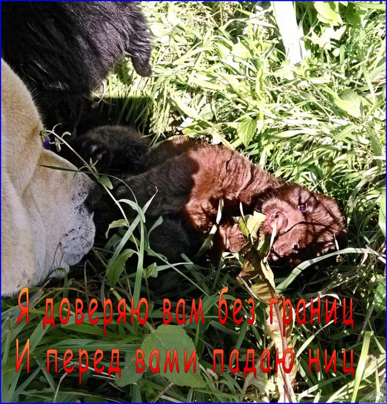 Фотография № 163269