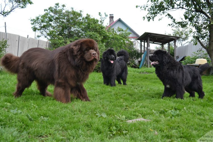 Фотография № 163275