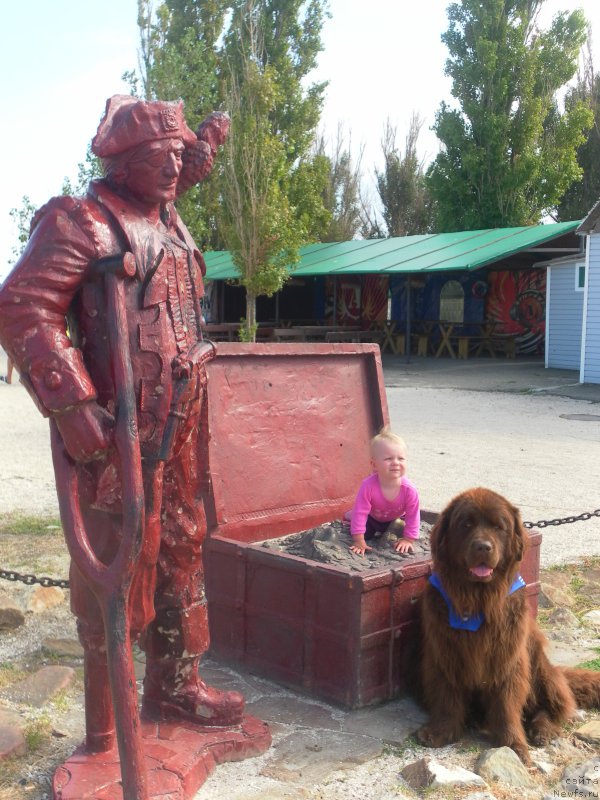 Фотография № 163284