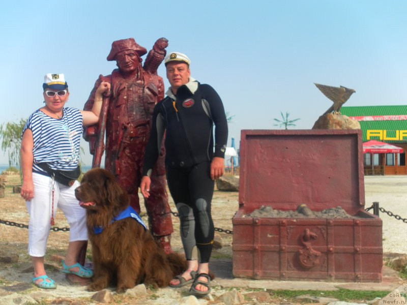 Фотография № 163285