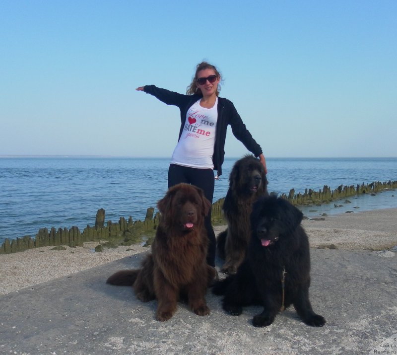 Фотография № 163286