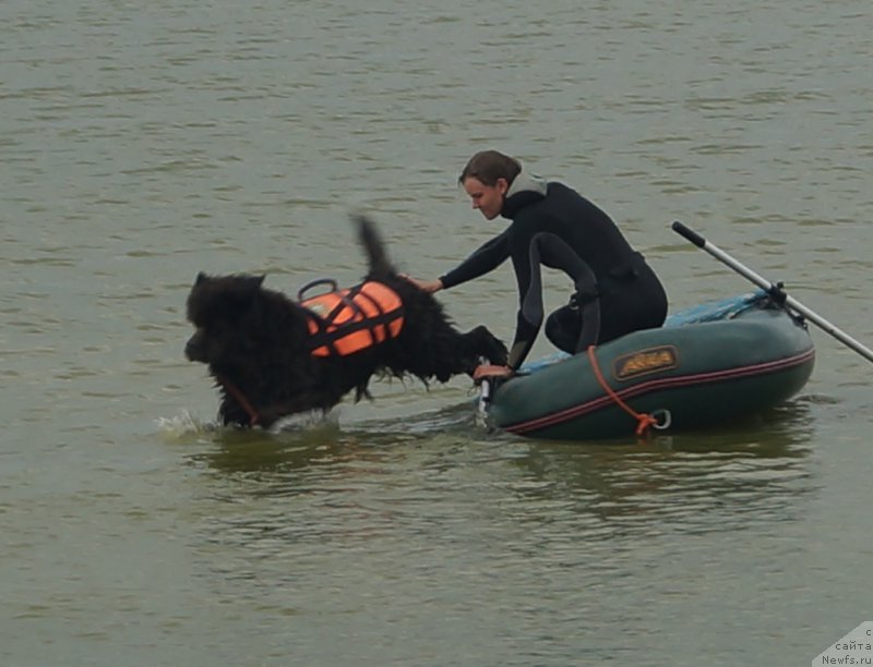 Фотография № 163287