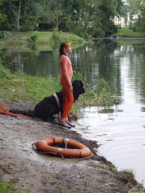 Фотография № 16329