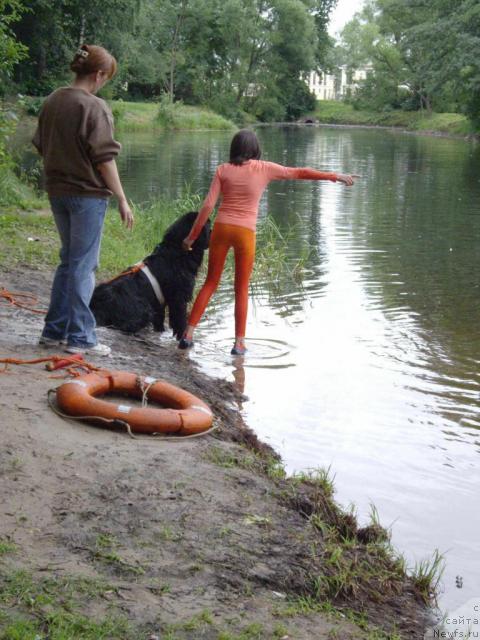 Фотография № 16333