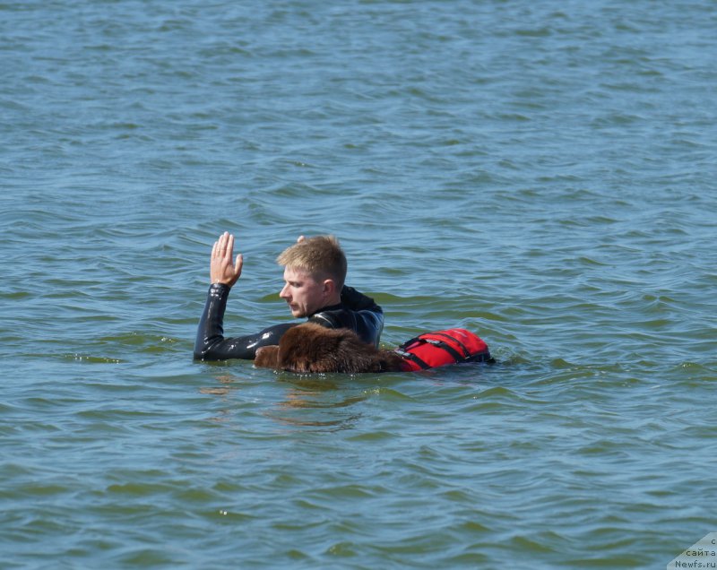 Фотография № 163353