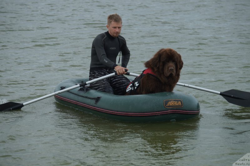 Фотография № 163361