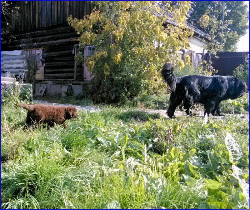 Фотография № 163420