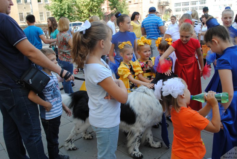 Фотография № 163440