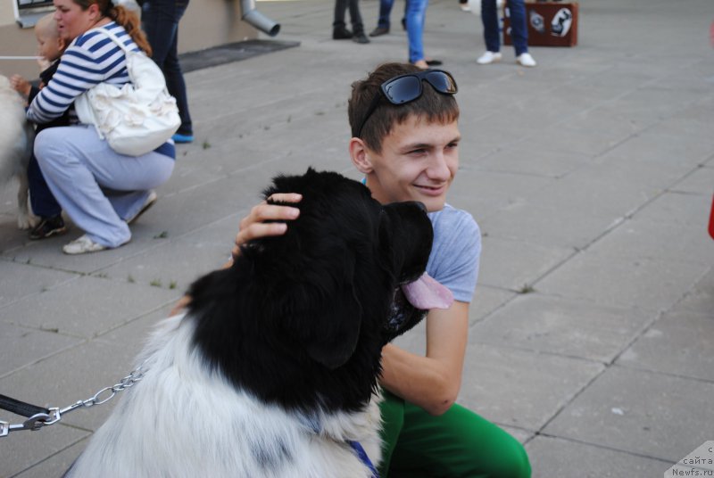 Фотография № 163441