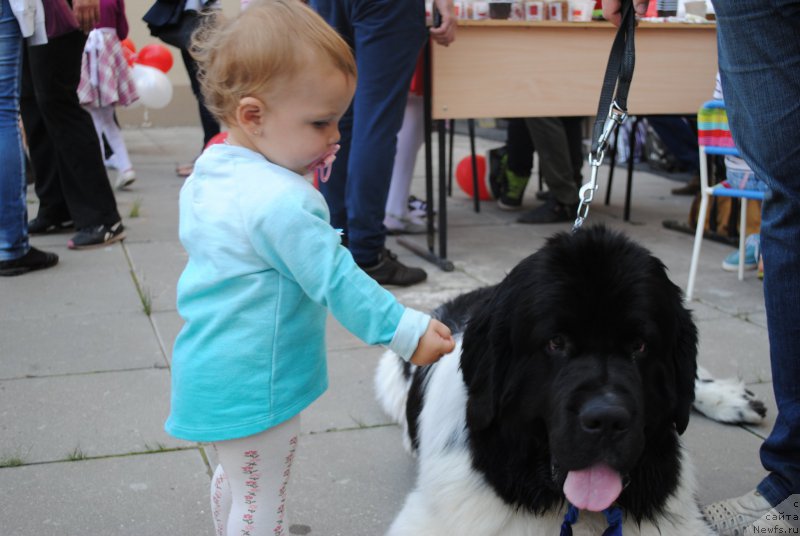 Фотография № 163444