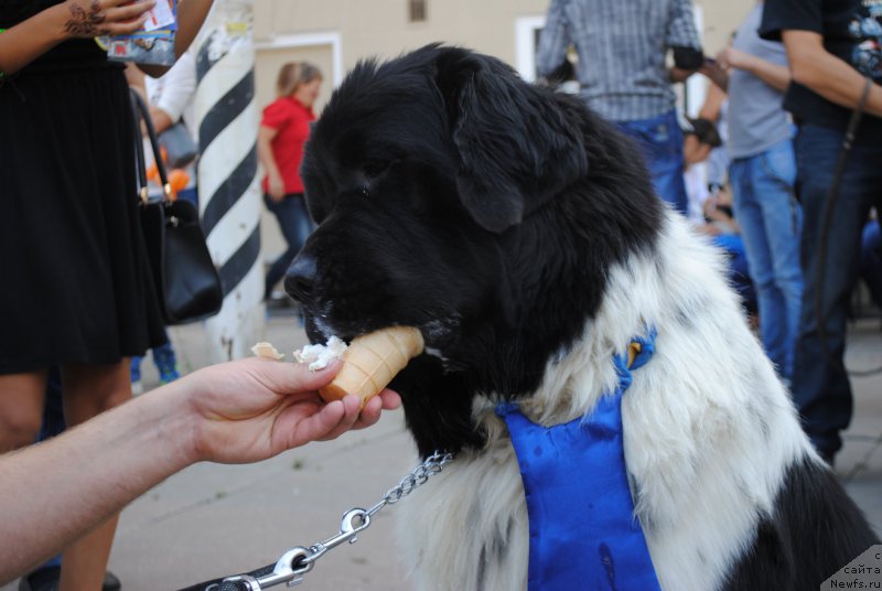 Фотография № 163447