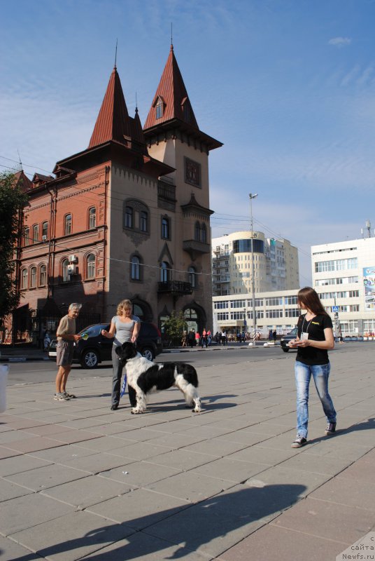 Фотография № 163448