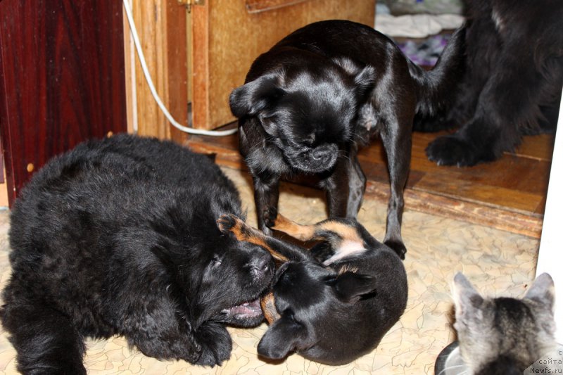 Фотография № 163467