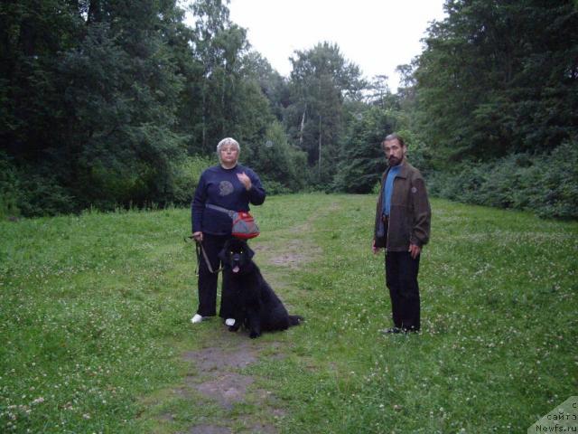 Фото: ньюфаундленд Skippers Only You for Smigar, Galina Saryicheva (Галина Сарычева), Жаков Александр