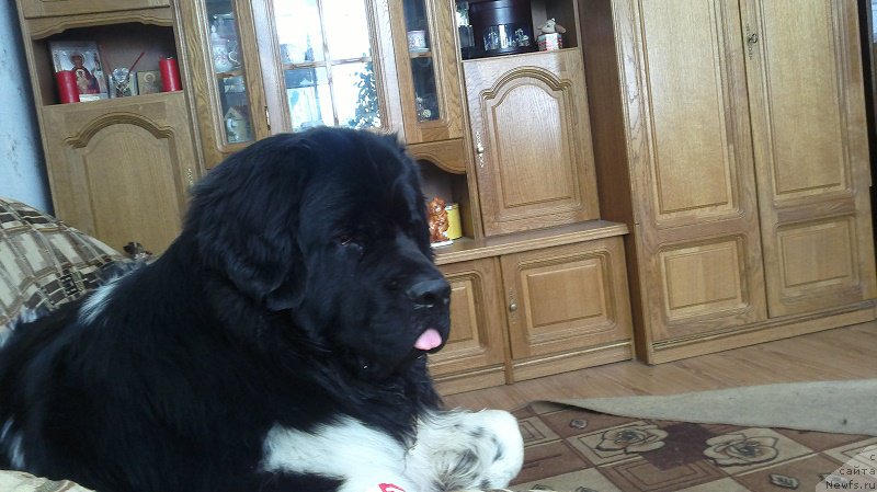 Фотография № 163484