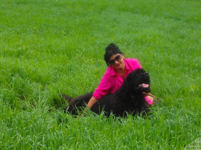 Фотография № 163490