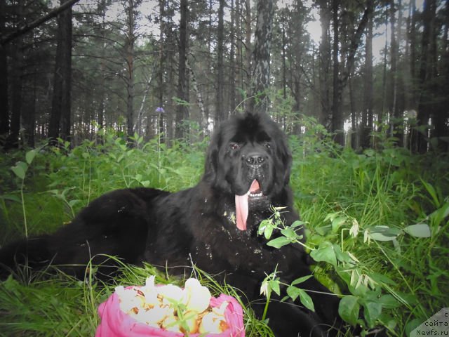 Фотография № 163491