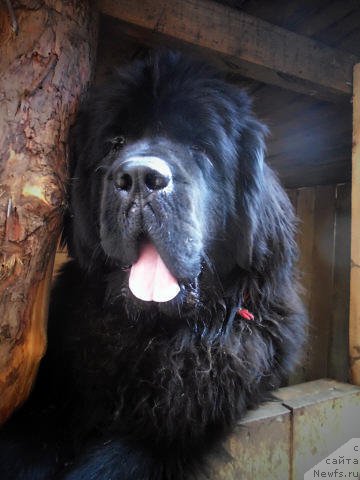 Фотография № 163493