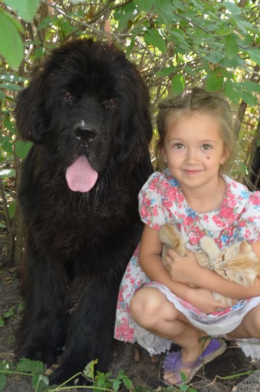 Фотография № 163495