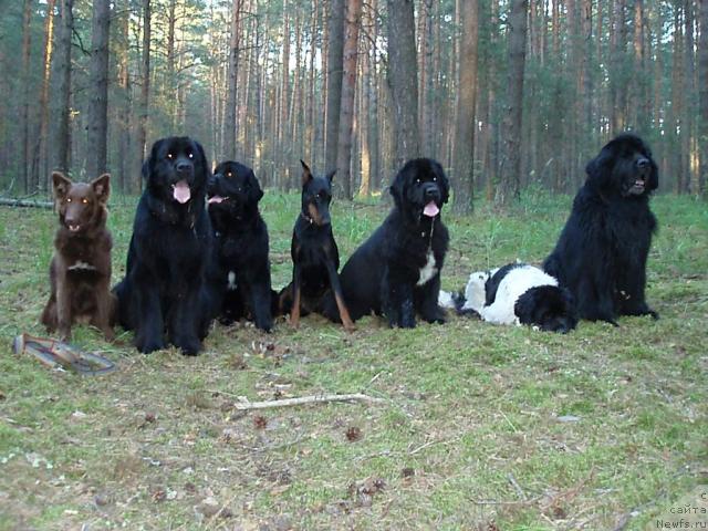 Фотография № 16354