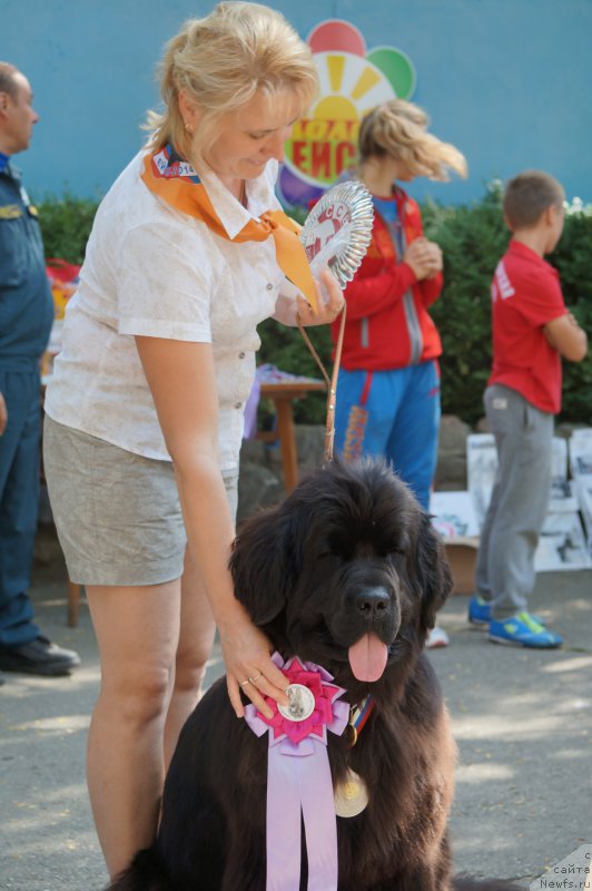 Фотография № 163571