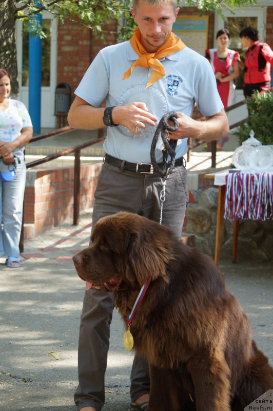 Фотография № 163574